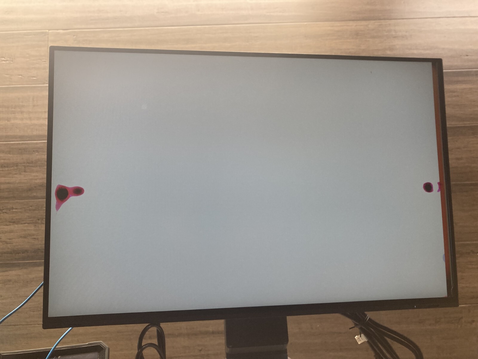 EIZO Lcd Monitor Flexscan EV2495 with USB-c read description