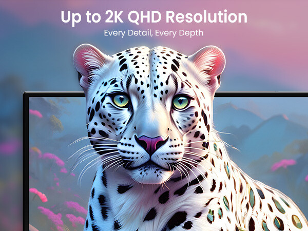 2025 24.5″ Portable Monitor 165Hz Screen PC Monitor 2560*1440 Screen HDMI HDR US