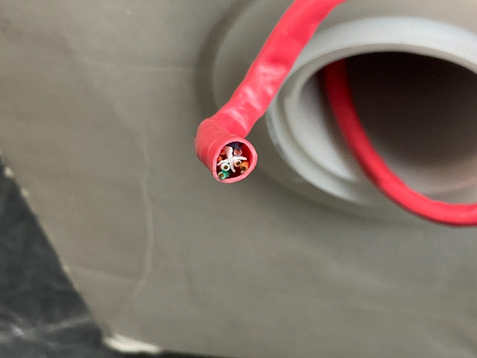 BlackBox Gigatrue 550 CAT-6 PVC Cable – 1000 feet red EYN868A-PB-1000 ❤️️ ✅ ❤️ ✅