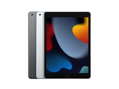 Apple iPad 9th Gen 10.2in Wifi Only 64GB – Excellent