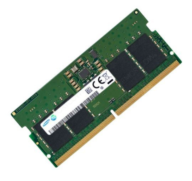 M425R1GB4BB0-CWMOD – 8GB Memory Module