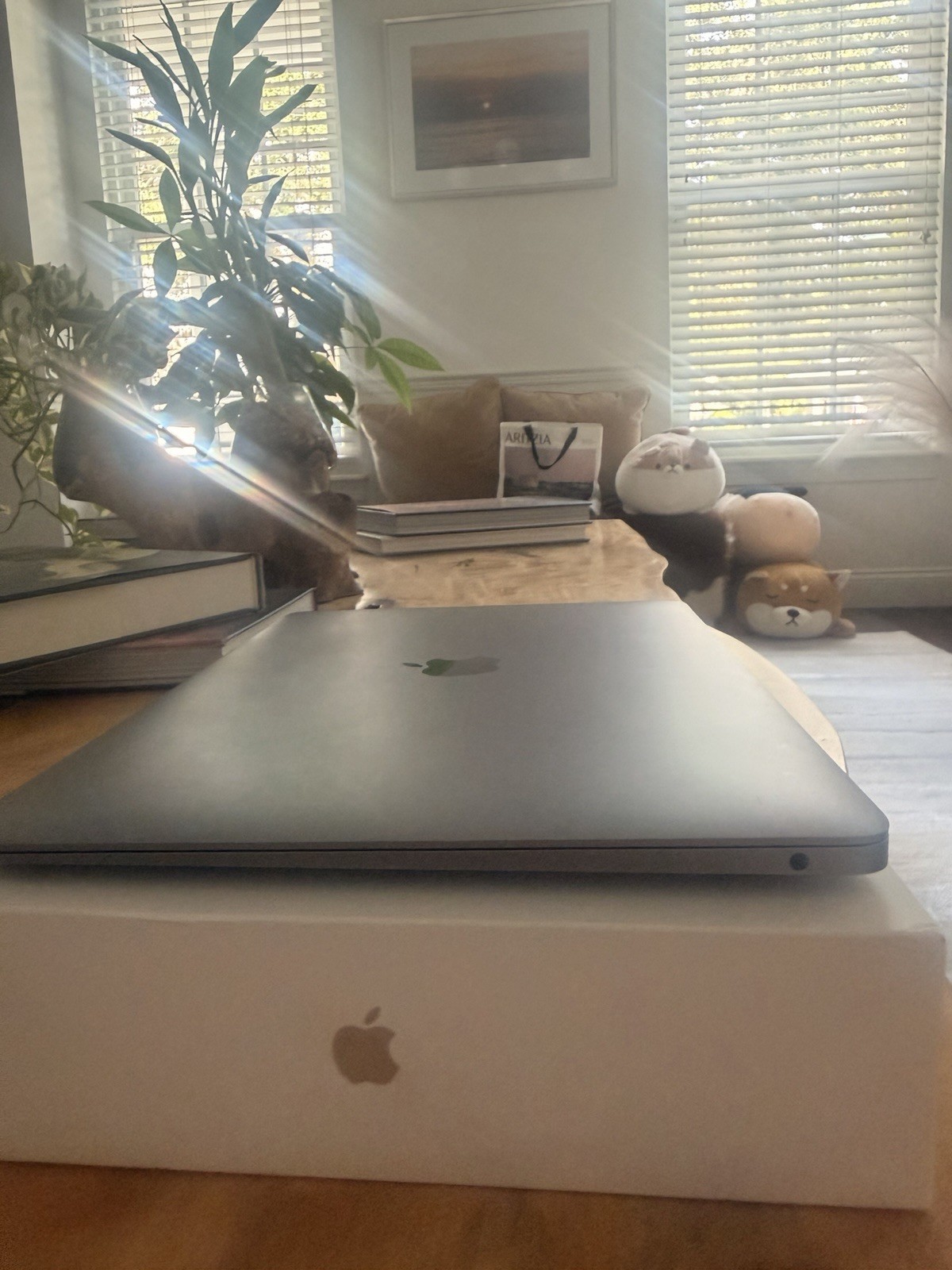 Apple MacBook Air 2020-13 Inch M1 Chip Retina Display 256GB Silver 8GB RAM