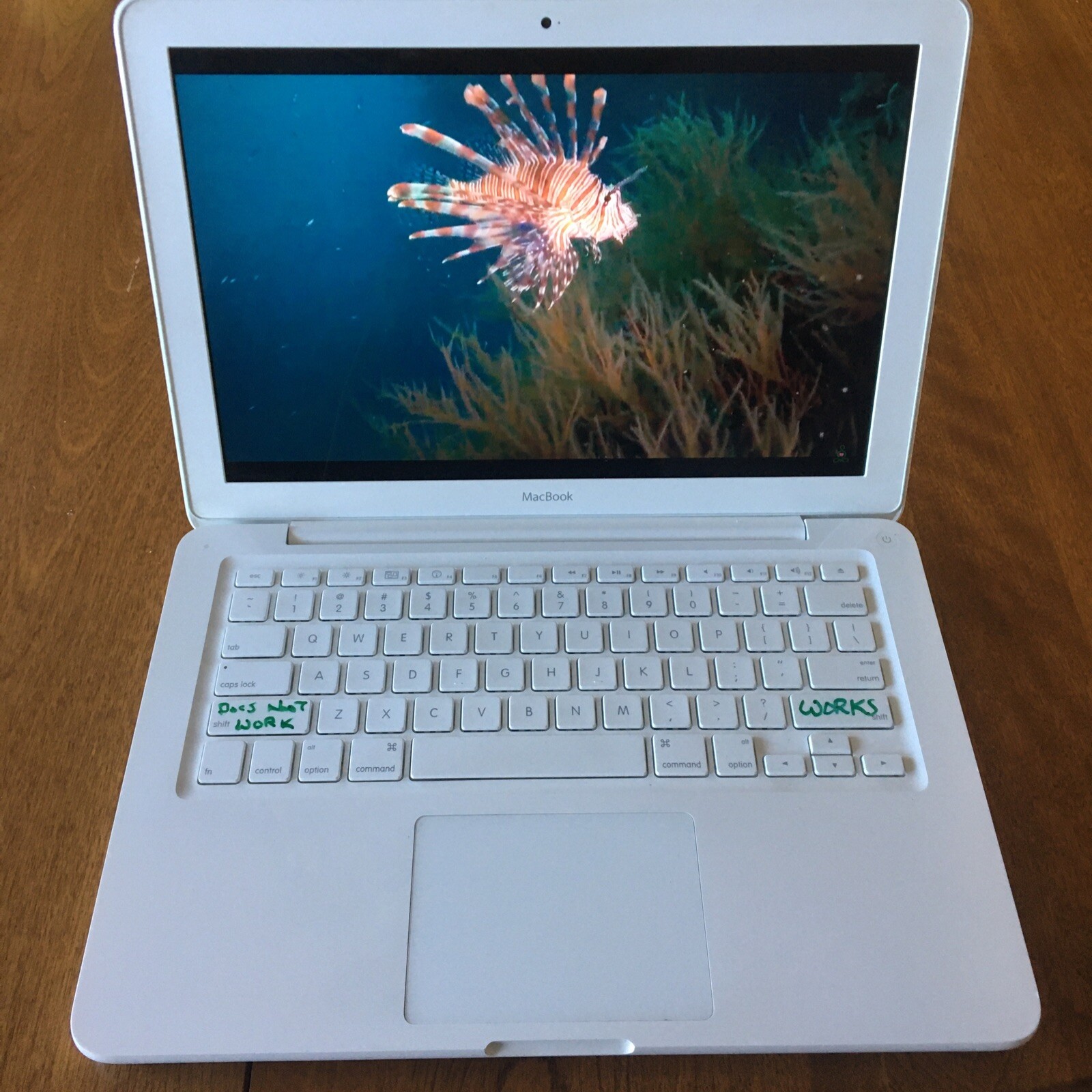 Apple Macbook Model A1342 2 GB 2.4 GHz Intel Core 2 Duo Nvidia Geforc 320m 256mb