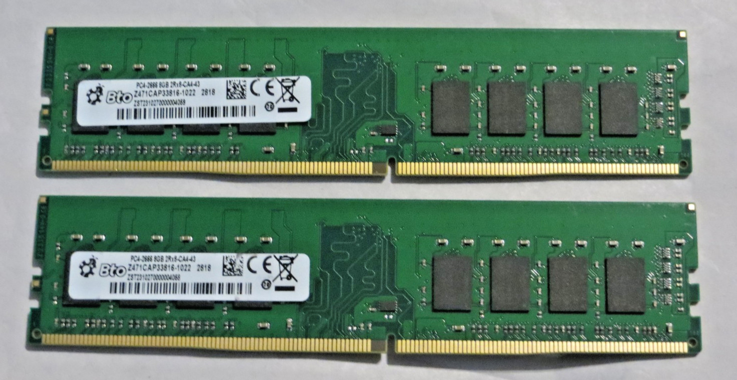 BTO 16GB 2x8GB DDR4 2666 2Rx8 RAM Kit Z471CAP33816