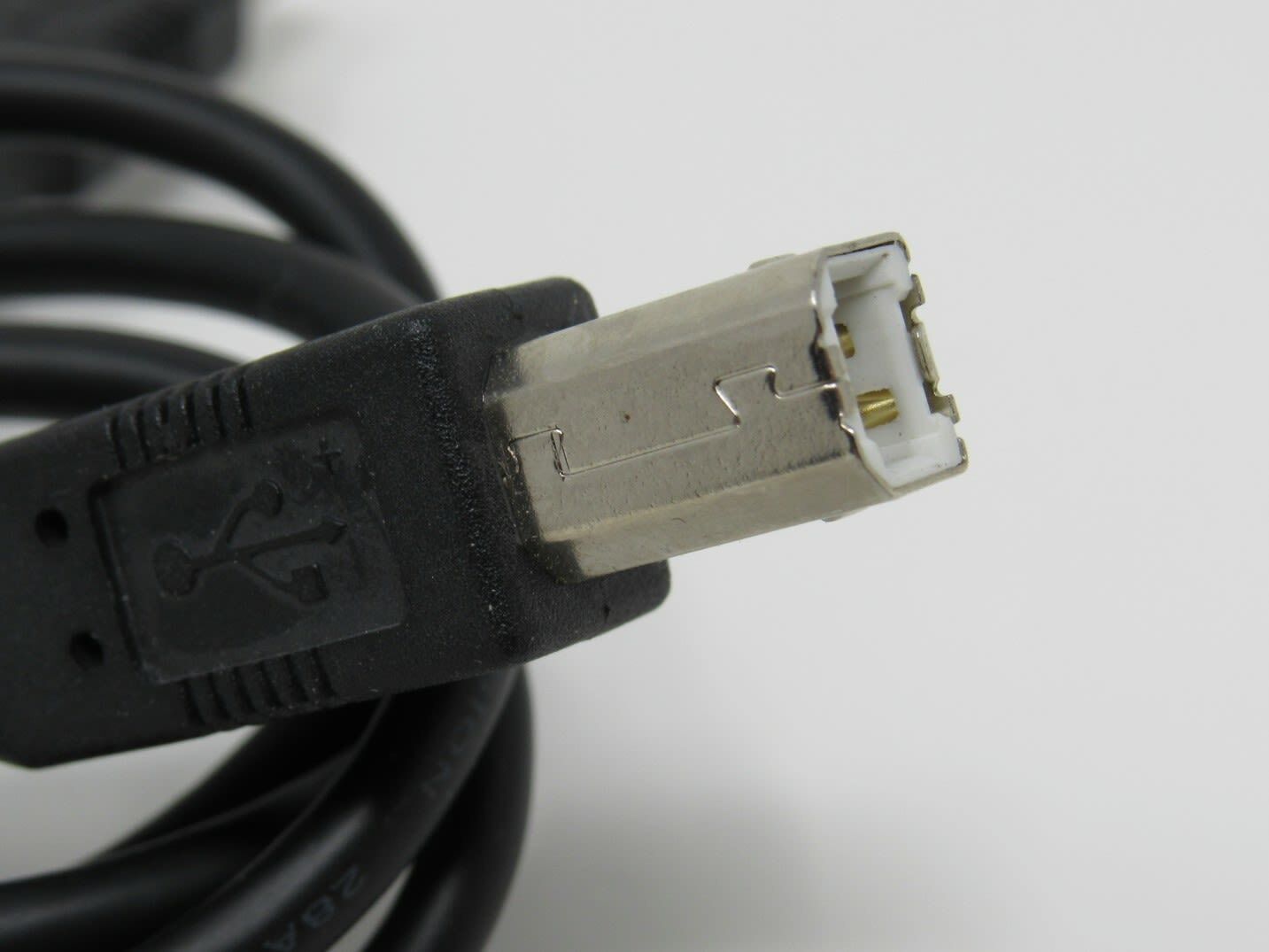 Standard USB A Plug to USB B Plug Cable 5.5 ft Male