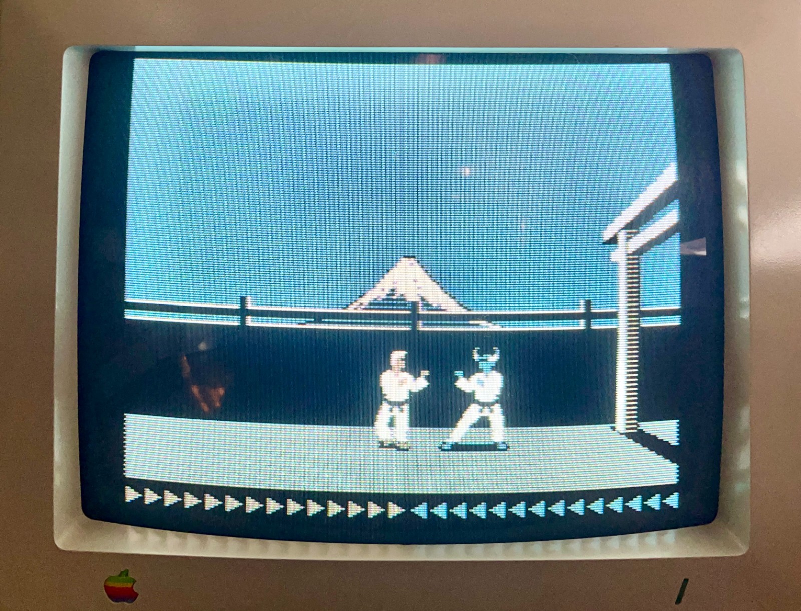 Apple II Games on Floppy Disks: Public Domain Retro / Vintage Software 🍎➕🍏
