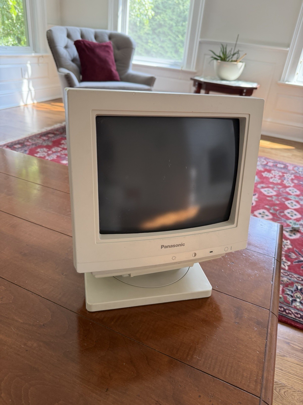 Panasonic TR-125M9T Monochrome MDA Green PC Monitor, Works