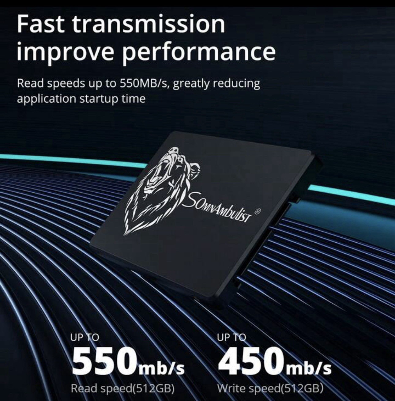SomnAmbulist 2.5″ SATA III Internal SSD H653, 550MB/s Read, 450MB/s 256GB