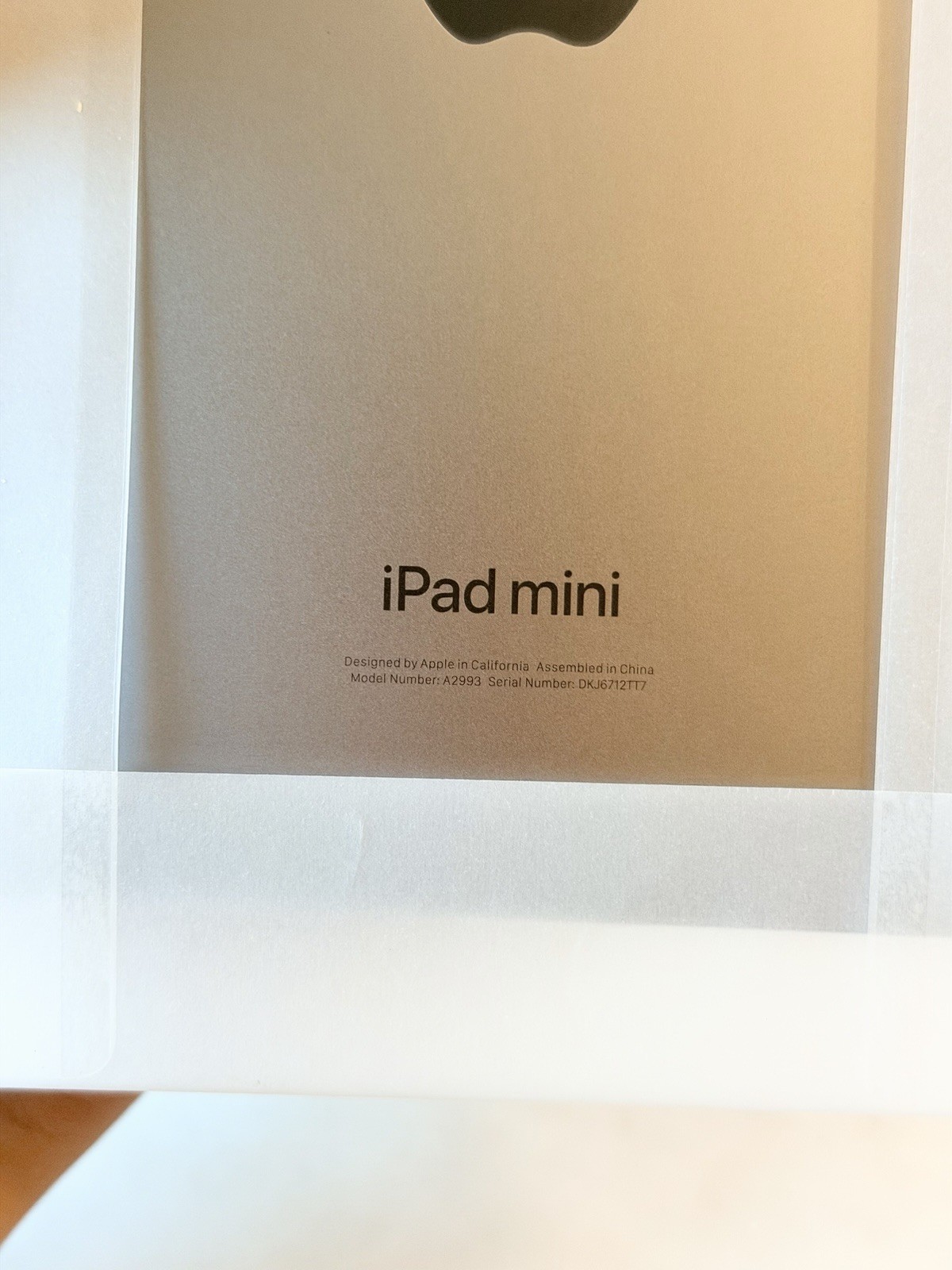 iPad Mini Pro – (A17 Pro) 256GB WIFI – Space Gray
