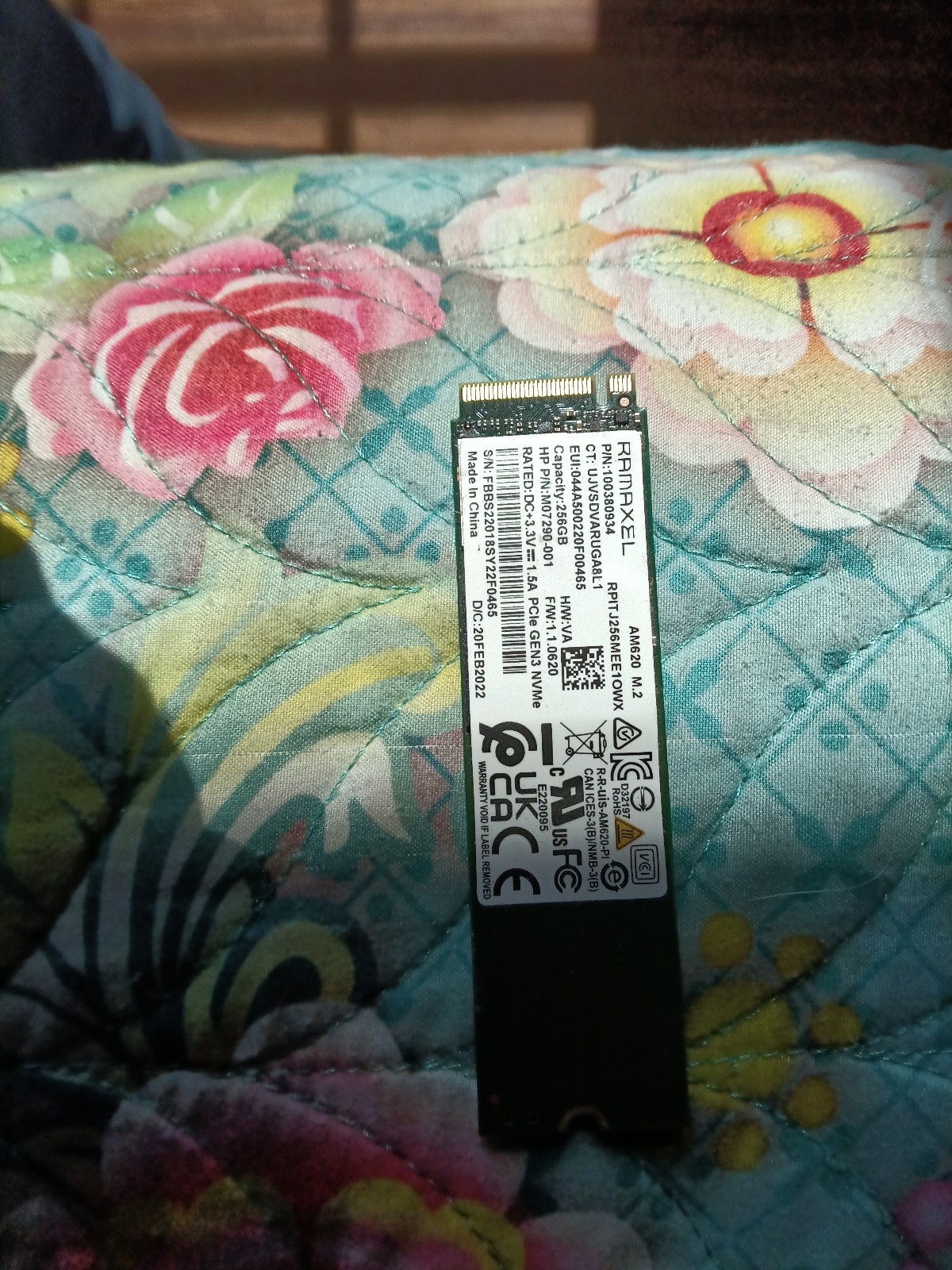 RAMAXEL NVME ssd 256gb Drive