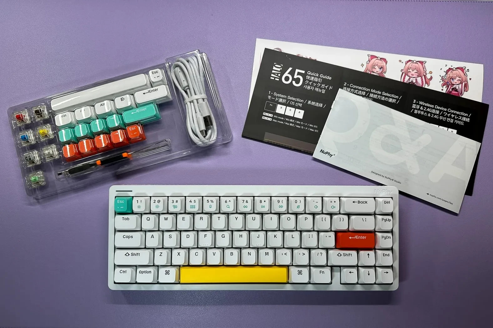 NuPhy Halo65 65% Wireless Keyboard Baby Raccoon Switch Hot Swap RGB White NEW