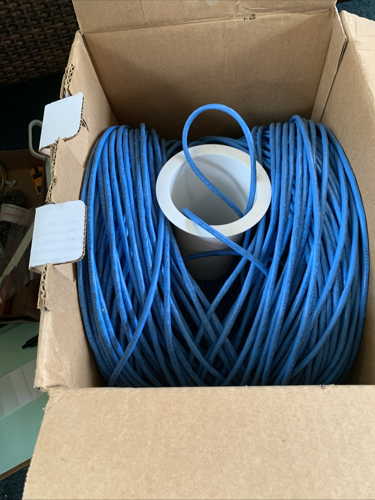 Lab/data Cat6 250 MHz Riser Blue