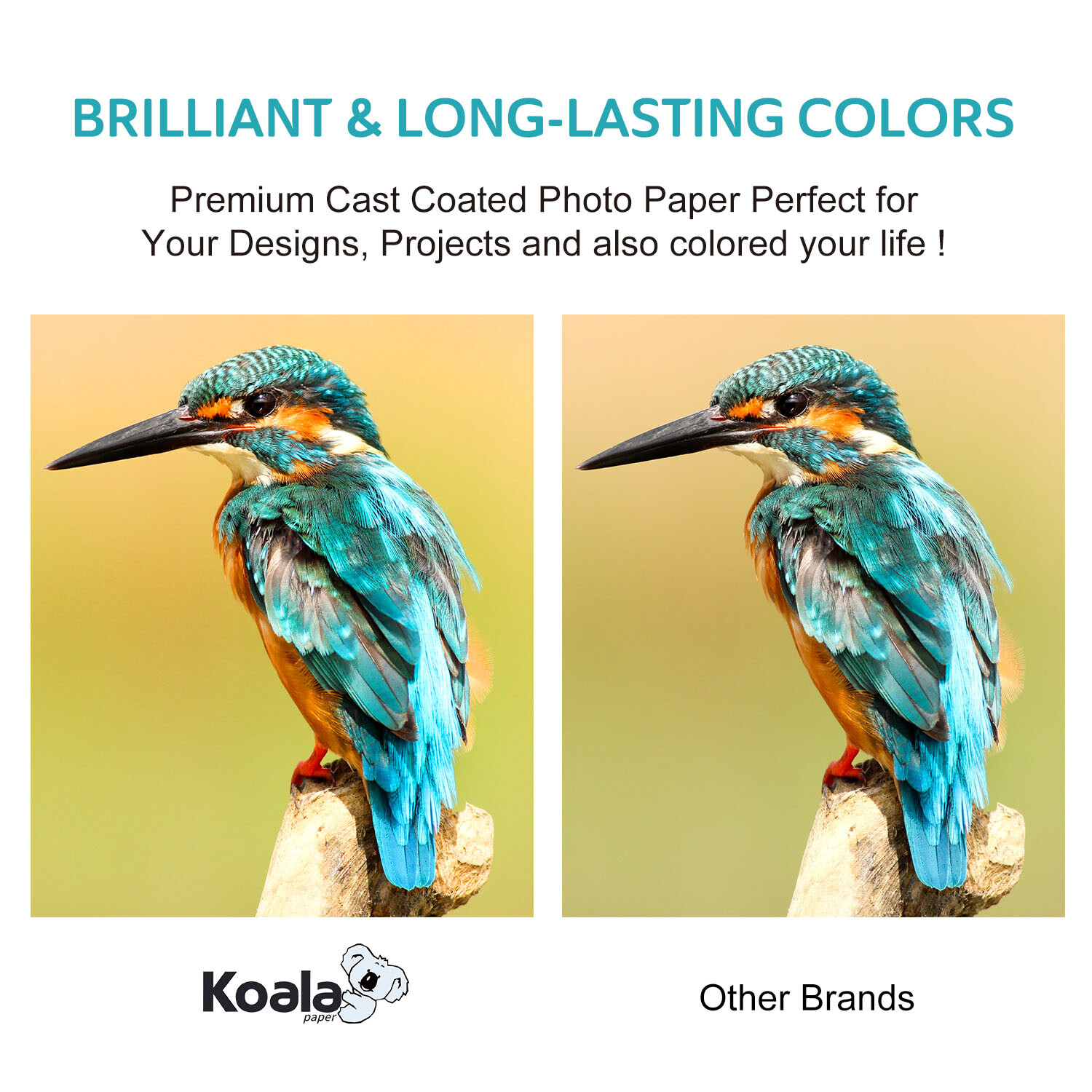 100 Sheets Koala Ultra Premium Glossy Photo Paper 4X6 270g 72lb Inkjet Epson HP