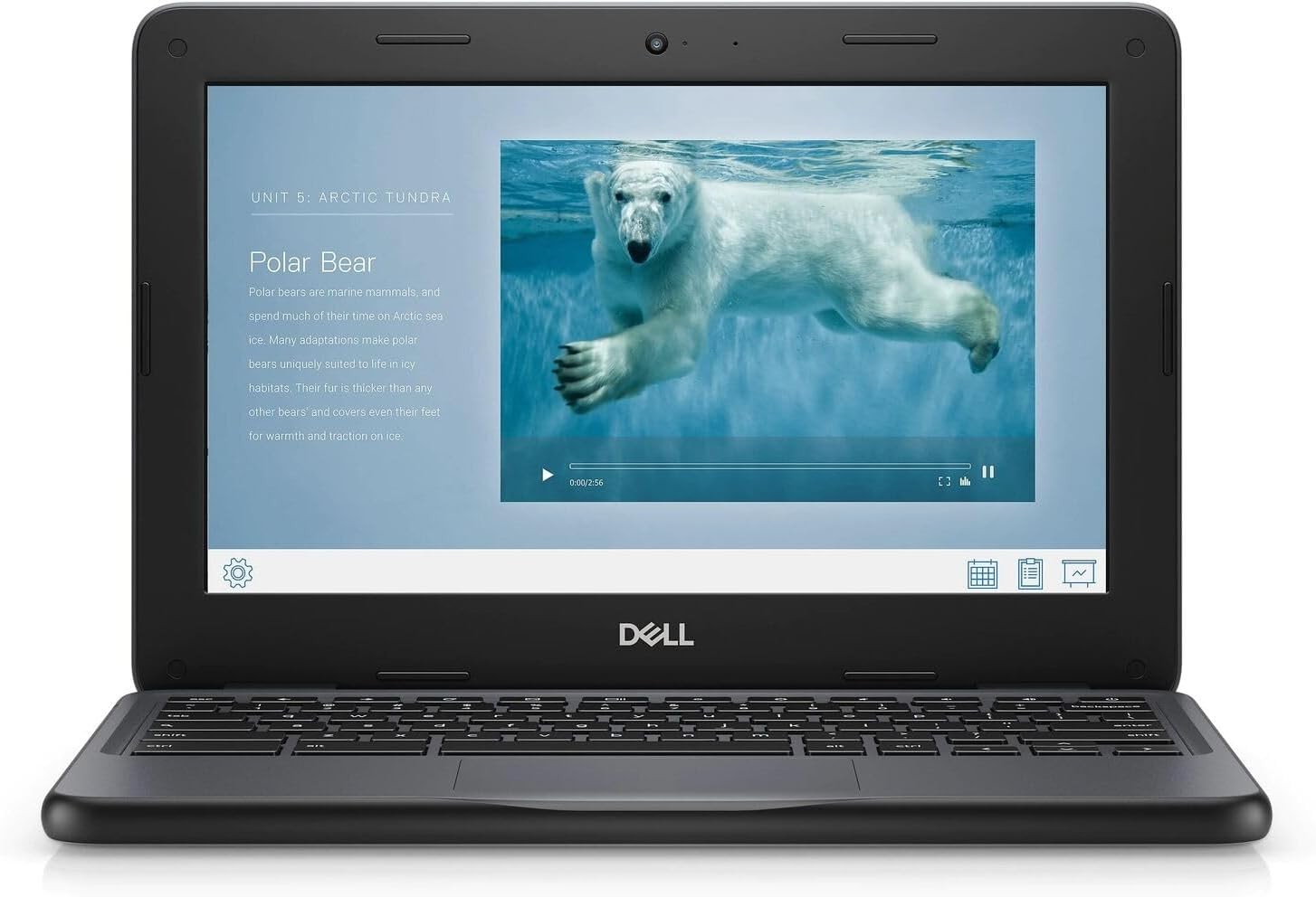 Dell Chromebook 11 3100 11.6″” Touchscreen Chromebook – HD – 1366 x 768 –