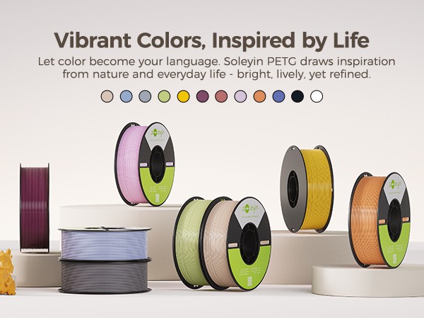 Creality Soleyin Basic PETG 3D Printing Filament 1kg LOT