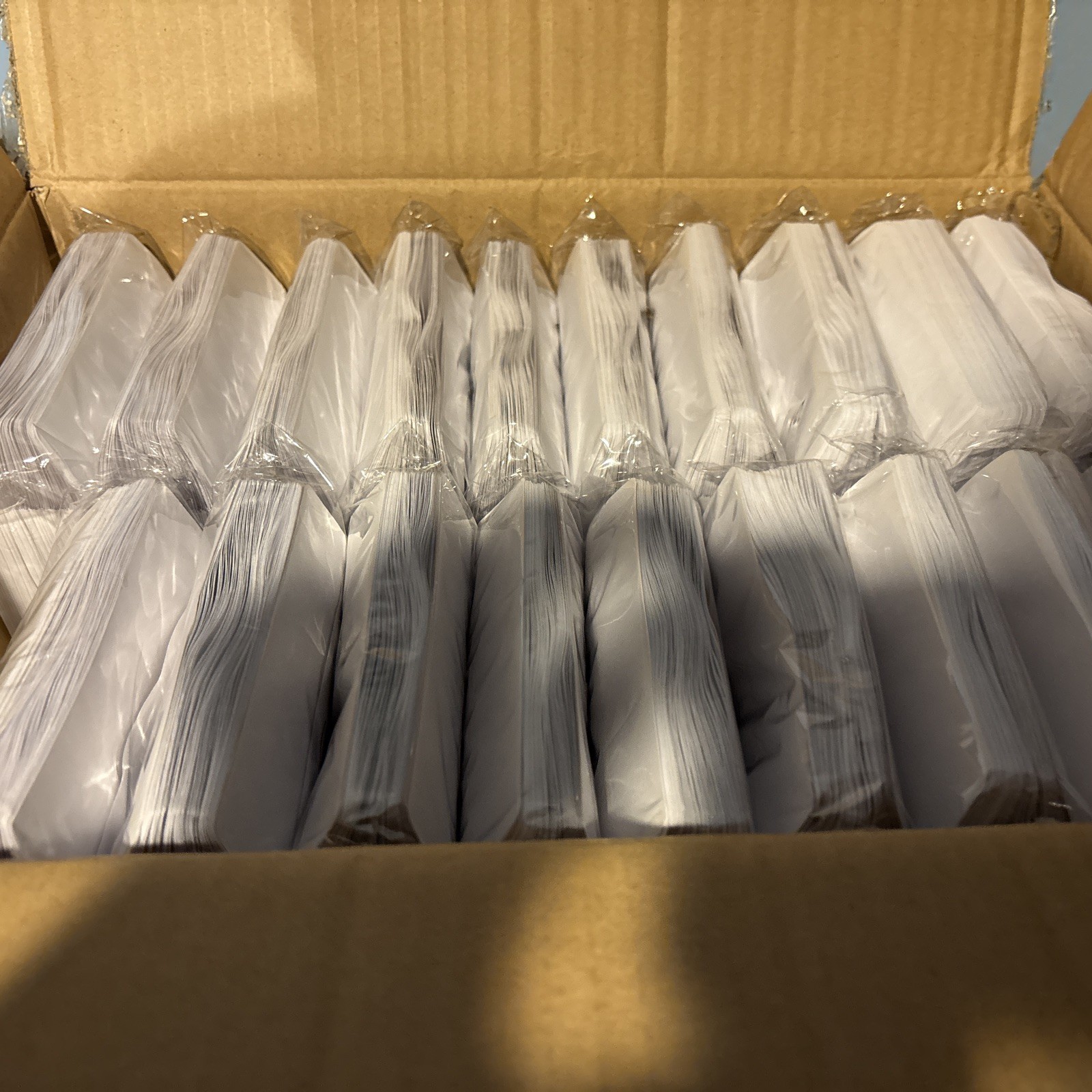 Paper CD/DVD Sleeves with Window & Flap Lot 1900 White NEW
