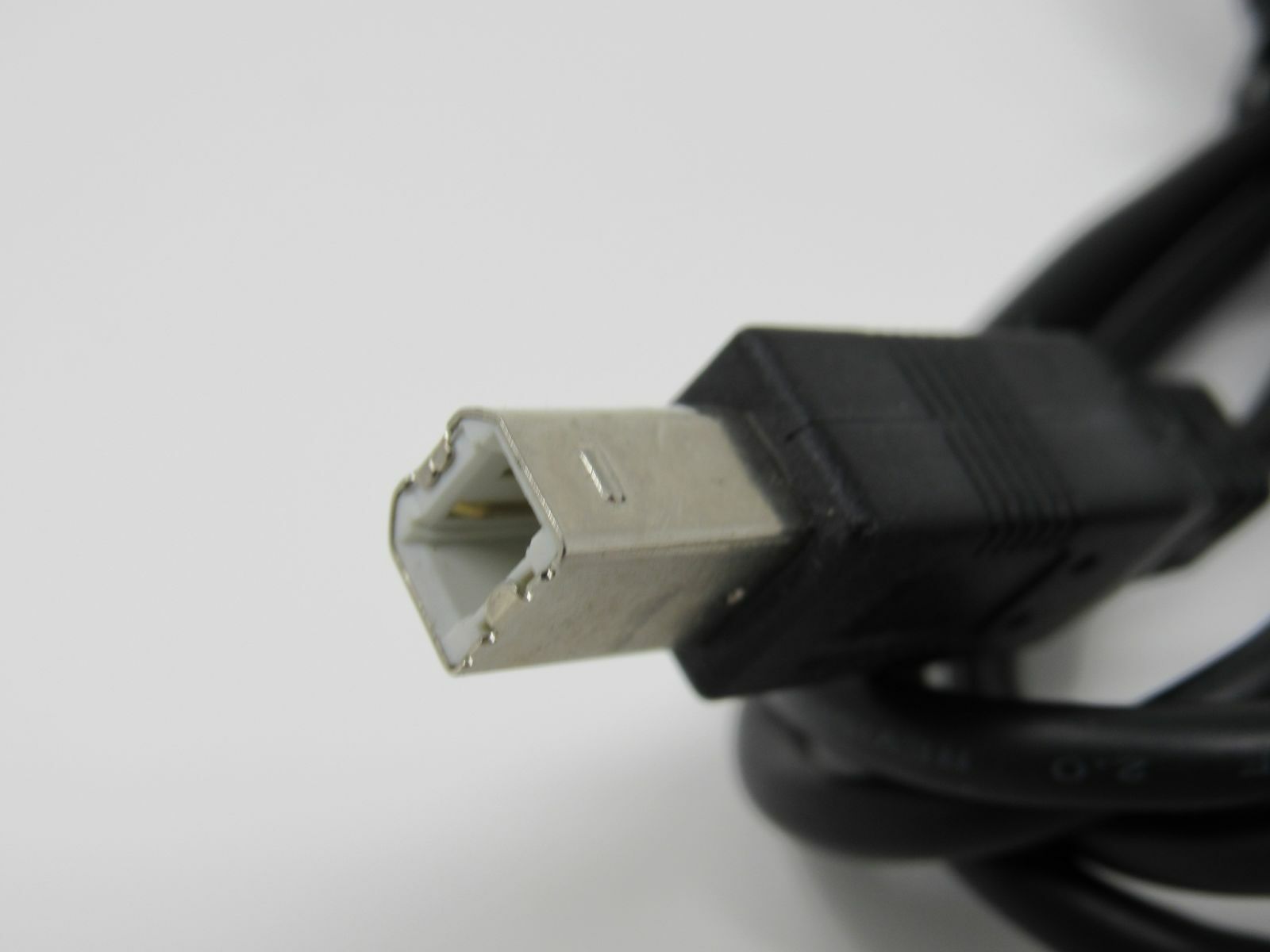 Standard USB A Plug to USB B Plug Cable 5.5 ft Male