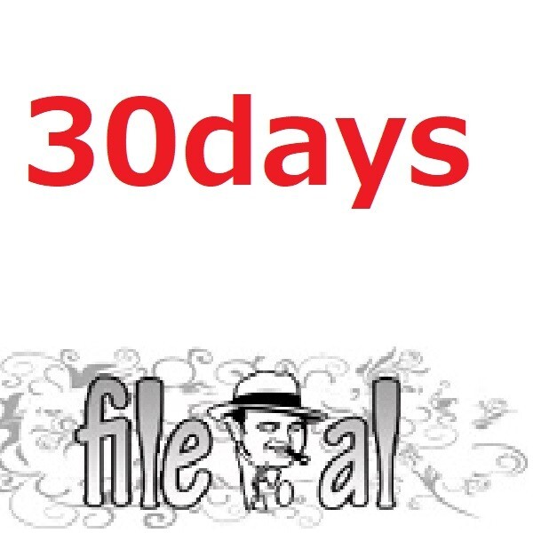 file.al 30days Premium