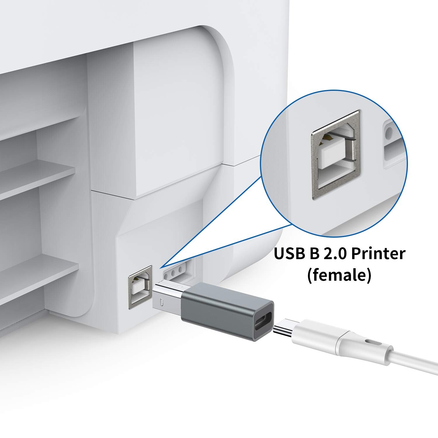 USB C Female to Printer Male Adapter 2-Pack USB Type C to USB B Convert Conn…