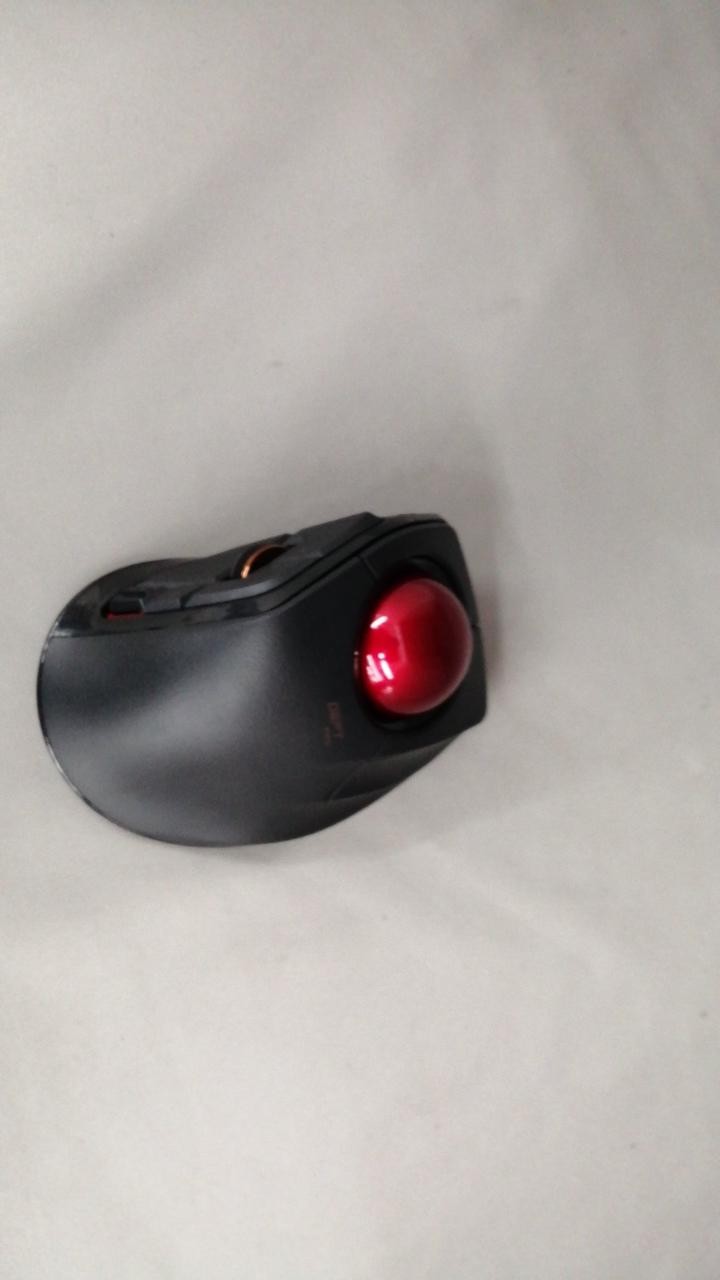 Mouse Model M DPT1MR ELECOM