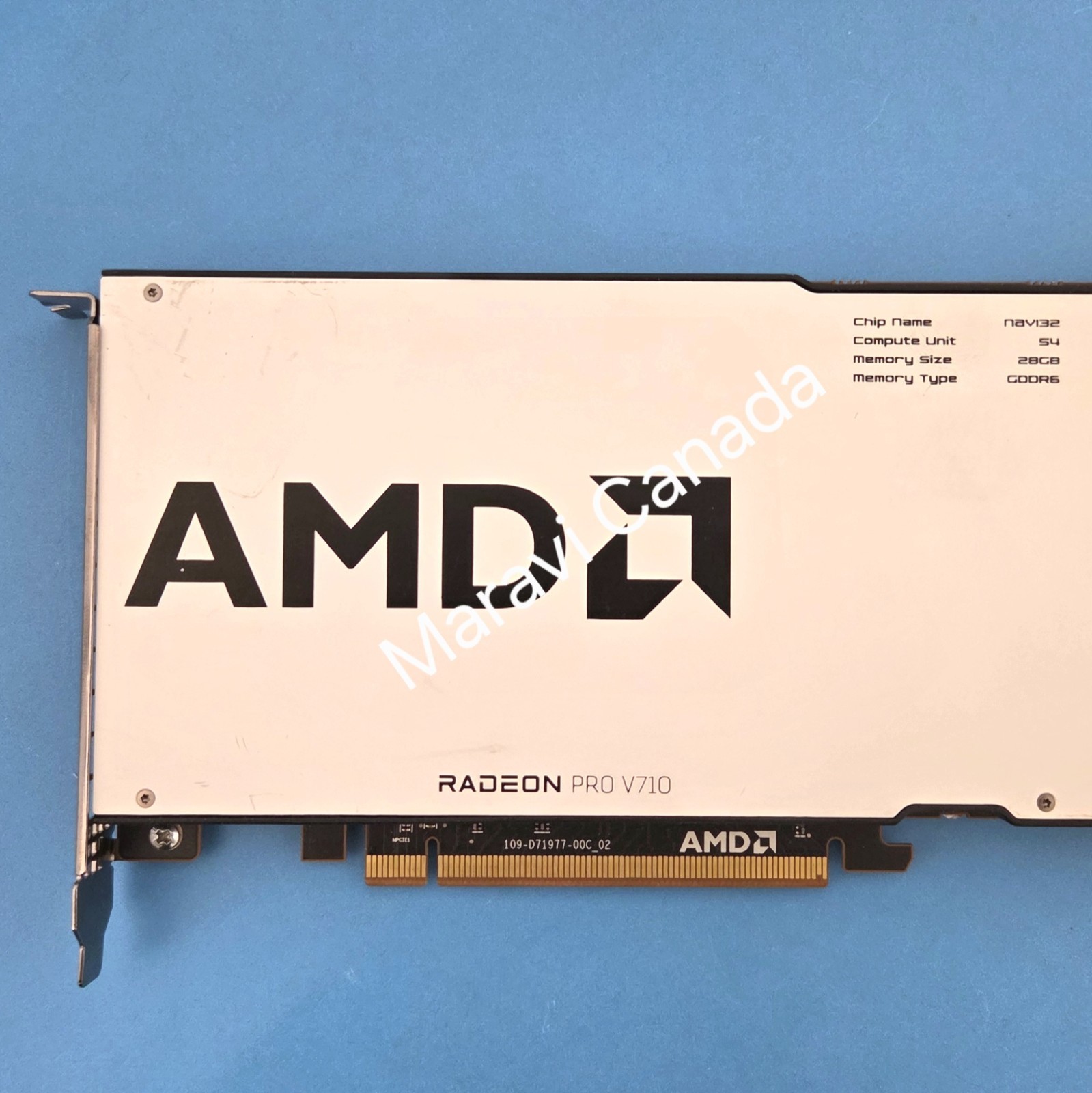 AMD Radeon Pro V710 28 GB GDDR6 PCI Express x16 Accelerator Card GPU tested