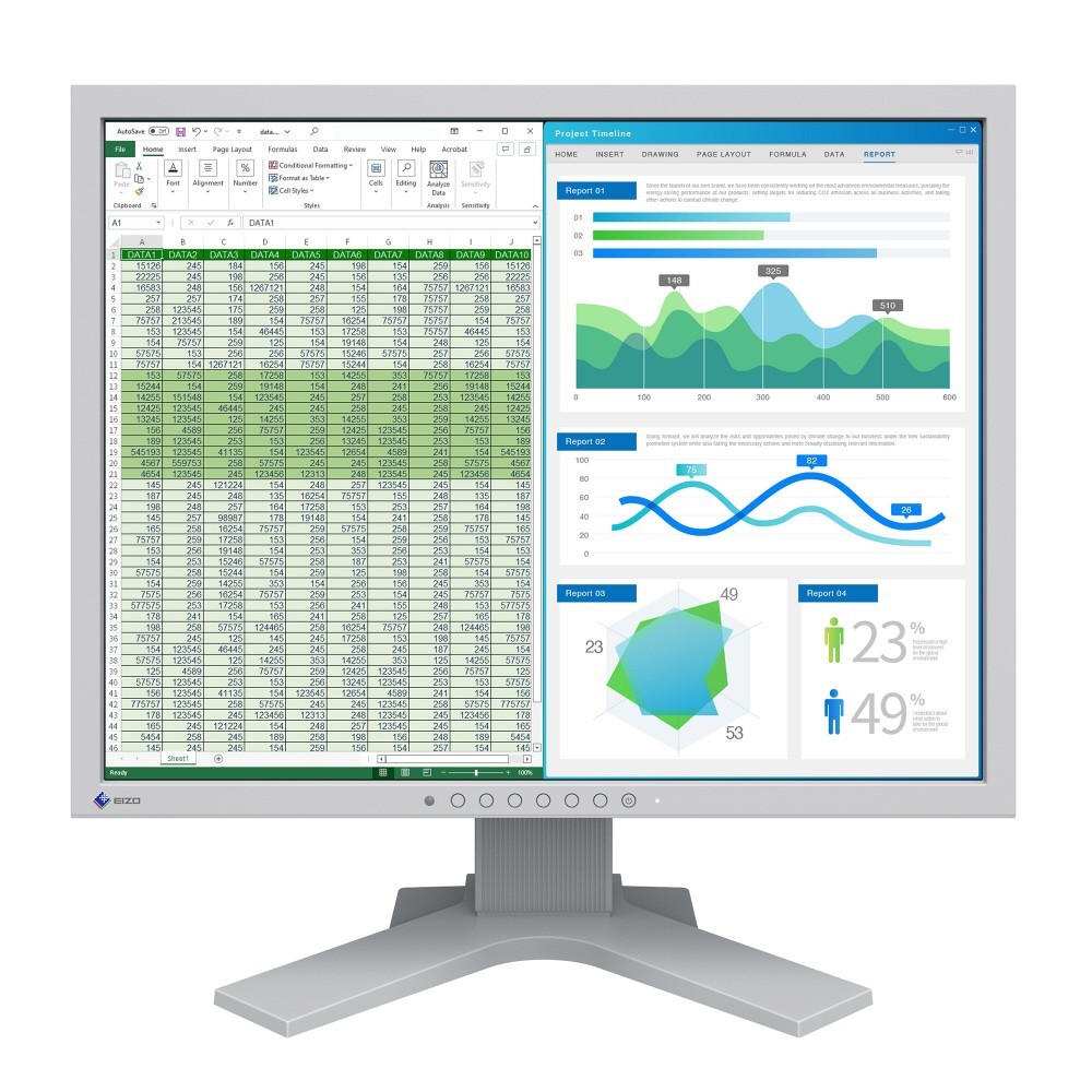 EIZO FlexScan S2134-HGY 21.3 Inch LCD Monitor 1600×1200 VGA DVI DisplayPort