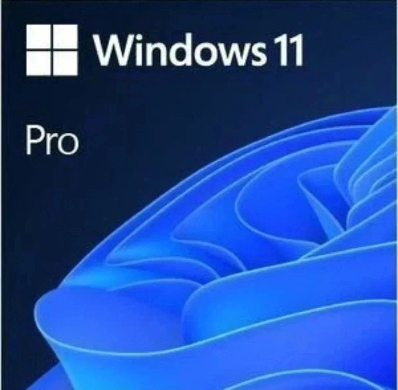 Microsoft Windows 11 Professional 64-bit OEI DVD – English