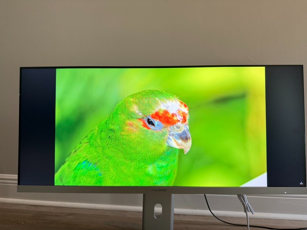 *READ* NEW ALOGIC Edge 100hz QHD 40″ 21:9 IPS Ultrawide Monitor W/ 90W Dock