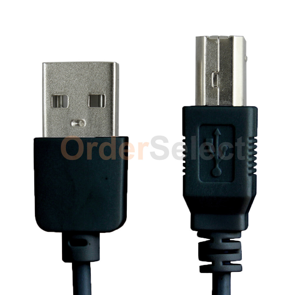 1-100 LOT USB 2.0 A TO B HIGH SPEED PRINTER SCANNER PREMIUM CABLE CORD HOT B