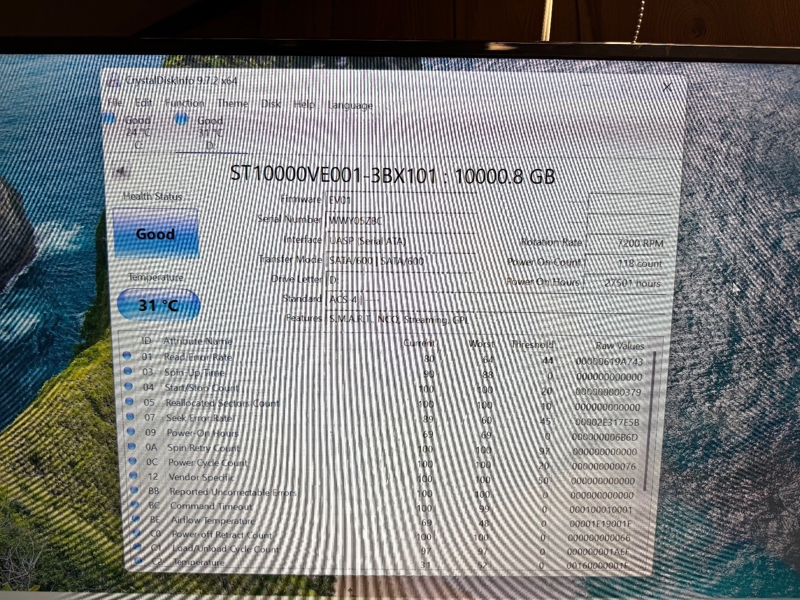 Seagate SkyHawk AI 10tb SATA HDD (green/blue label)