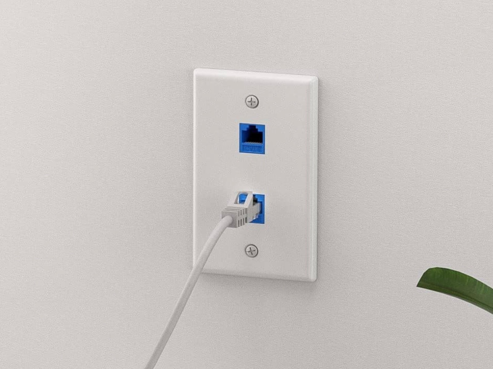 2 Port Wall Plate RJ45 Ethernet CAT6 Cat5 Keystone Inline Coupler Female-4 Pack