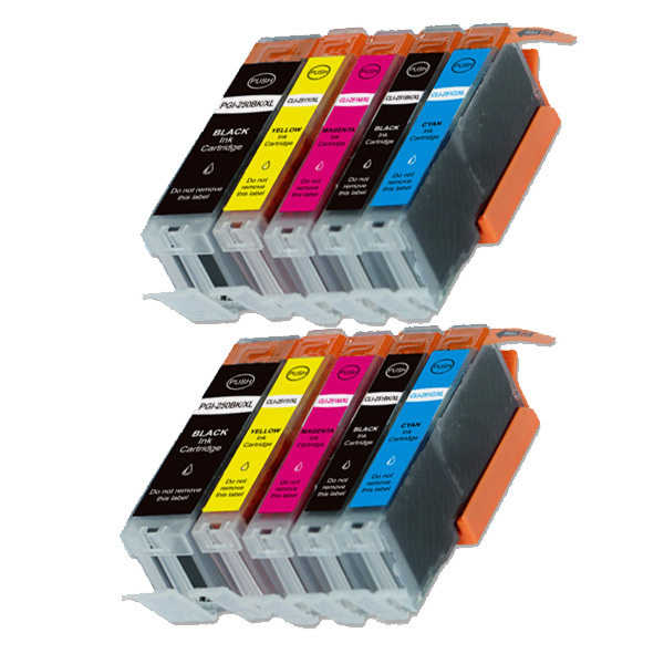 10 PK New Ink Set with chip for Canon Series 250 251 MX922 MG5622 MX920 MG6622