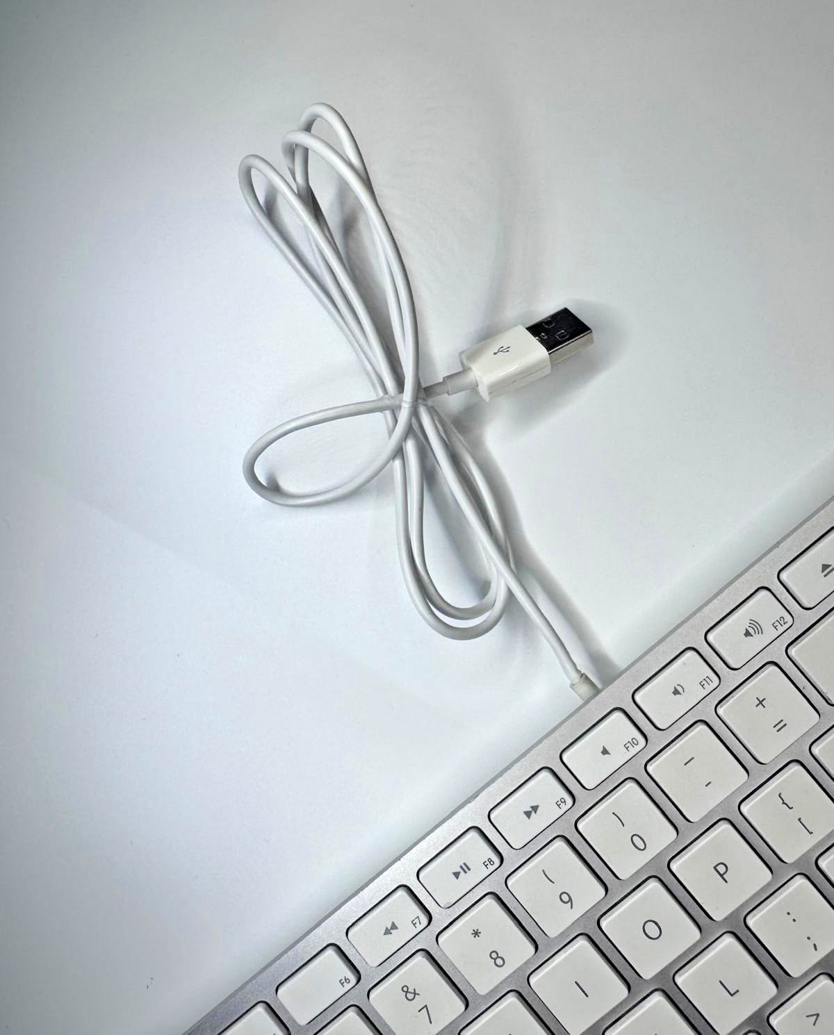 Apple A1243 Aluminum Wired USB Keyboard MB110LL/A Tested Full Size