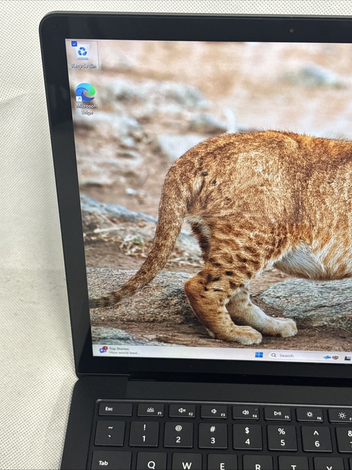 Microsoft Surface Laptop 5 13.5” (512GB, Intel Core i7 12th, 16GB RAM) – Black
