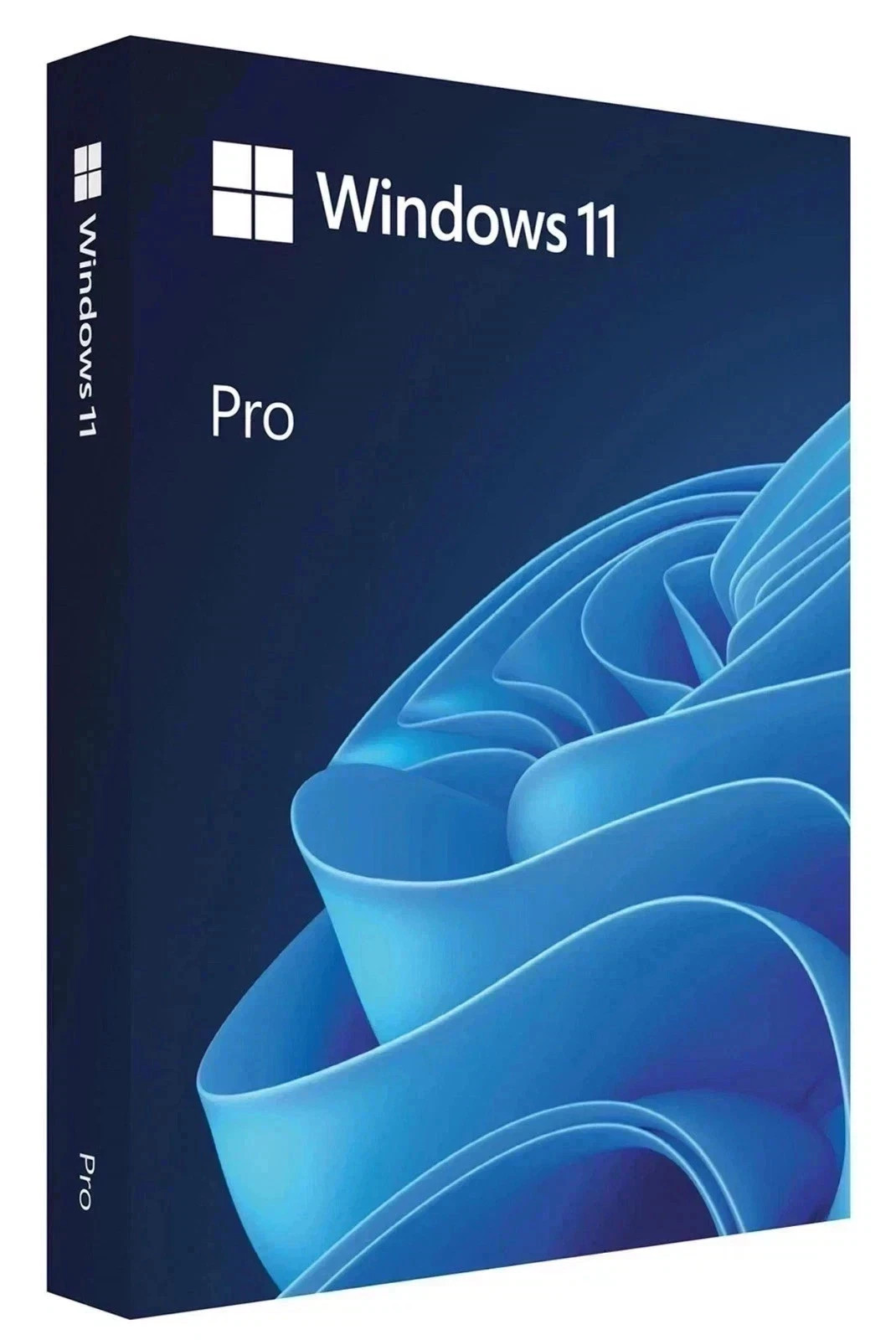 Microsoft Windows 11 Professional 64-bit OEI DVD – English