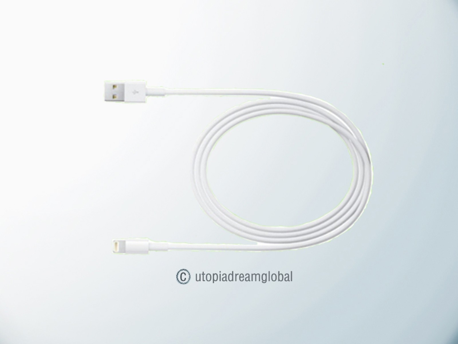 USB Data Sync Charging Cable PC Power Cord For Apple iPhone 5 5S 5C Mini i Pad