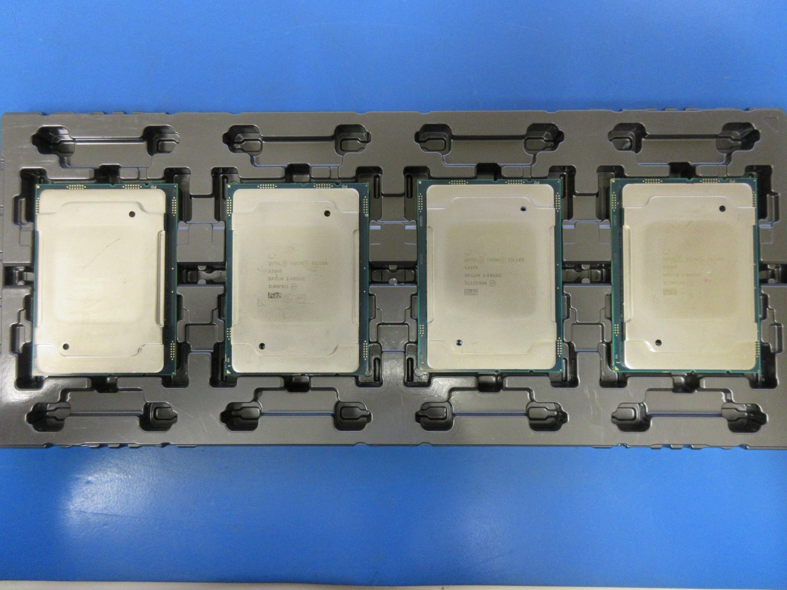 Lot 6 of SRG1W : Intel Xeon Silver 4214R 2.40GHz : 12 Core : FCLGA3647 – Grade C