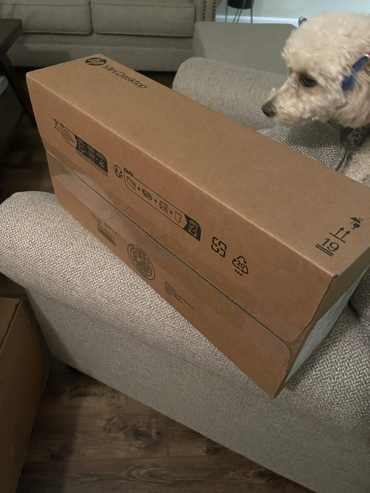 HP ProDesk 4 Mini G1i Desktop AI PC Wolf Pro Security Edition