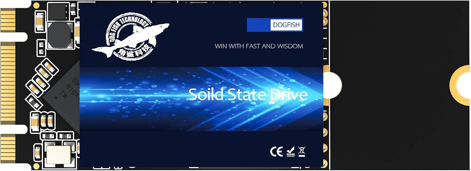 Dogfish 1TB M.2 2260 SATA SSD – 550MB/s Read, 450MB/s Write
