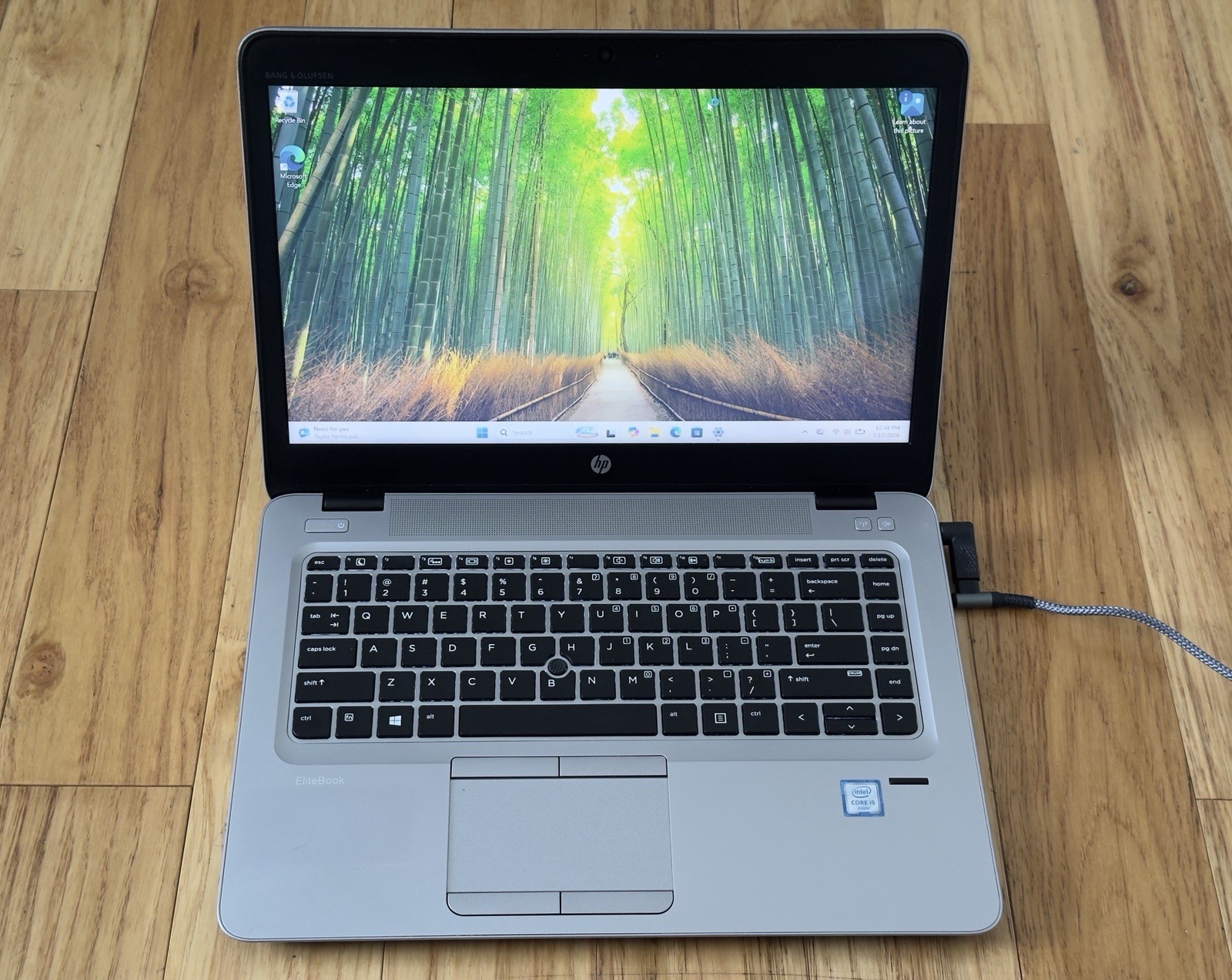 HP EliteBook 840 G3 14 in (256 GB SSD, Intel Core i5 6th Gen 2.30 GHz, 8 GB RAM)