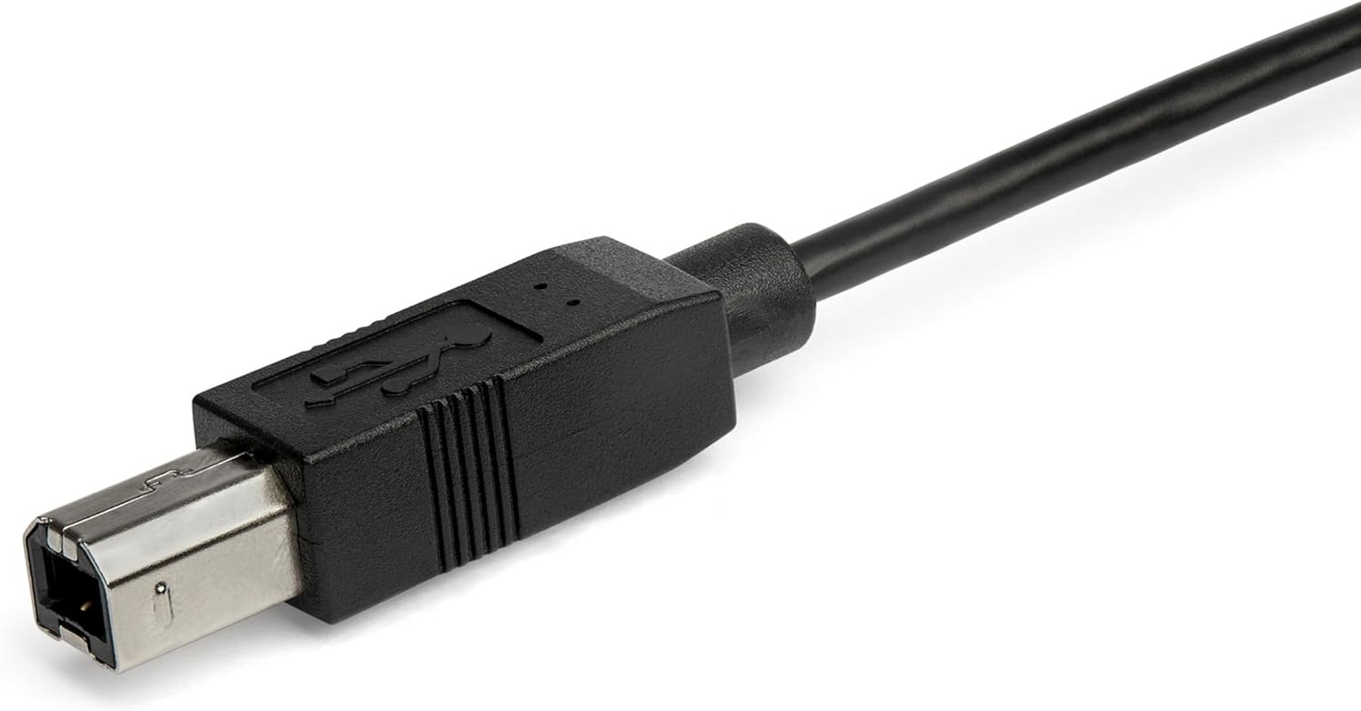 Star Tech USB2CB2M 6 Ft. USB-C to USB-B Cable – USB 2.0