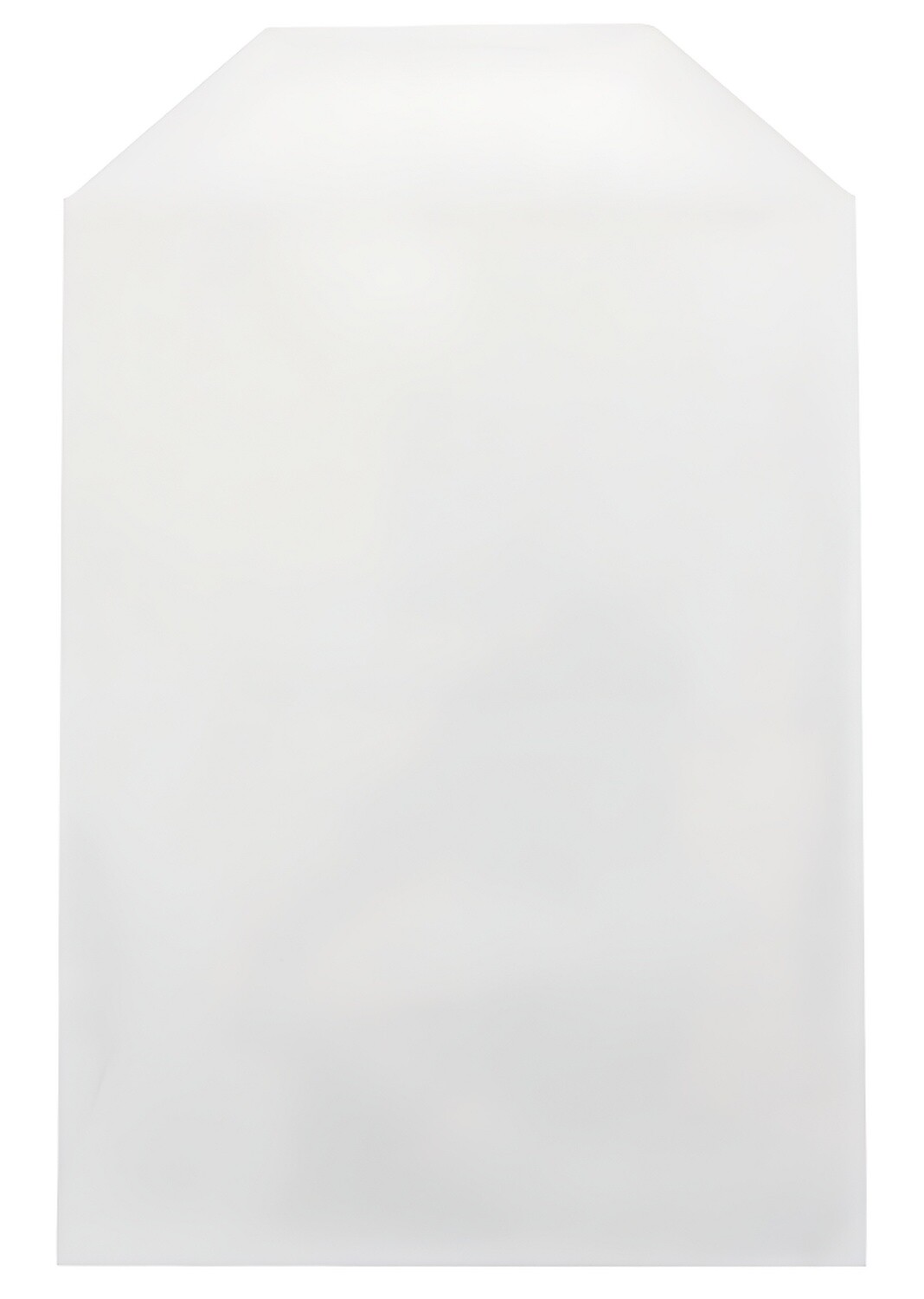 CPP Clear Plastic Sleeve with Flap (Fits 14mm DVD Case Artwork) Lot