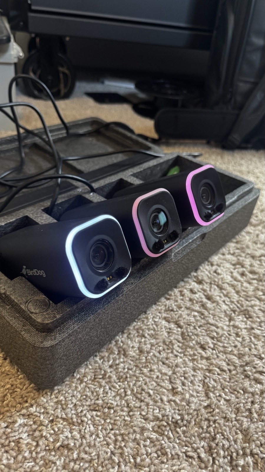 BirdDog MAKI Live 3-Camera Bundle with Case | 8.2MP 4K UltraHD NDI HX3