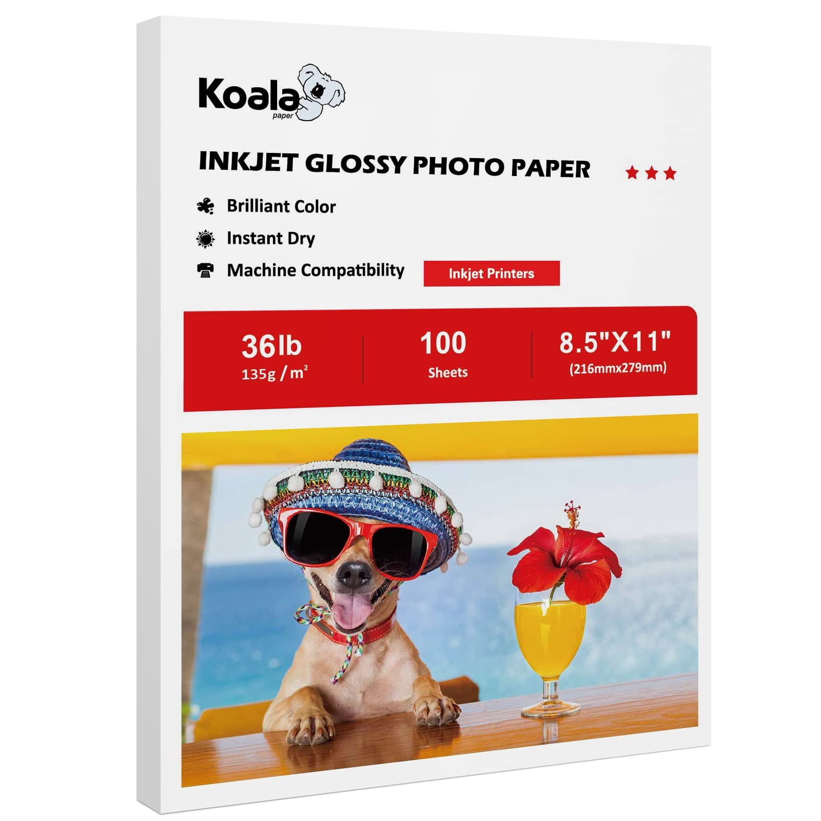 Printer Paper 8.5×11 Inch 36LB 100 Sheets Glossy White Koala Inkjet Thin