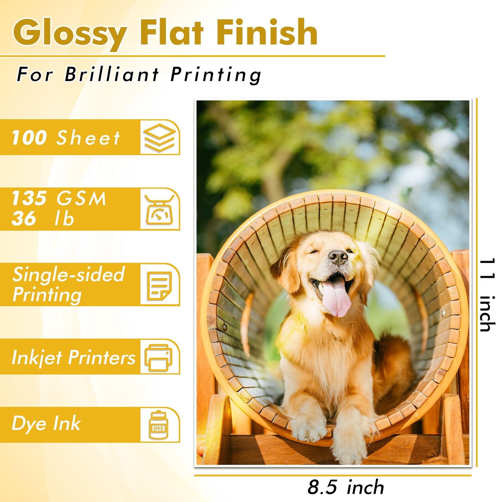 Printer Paper 8.5×11 Inch 36LB 100 Sheets Glossy White Koala Inkjet Thin