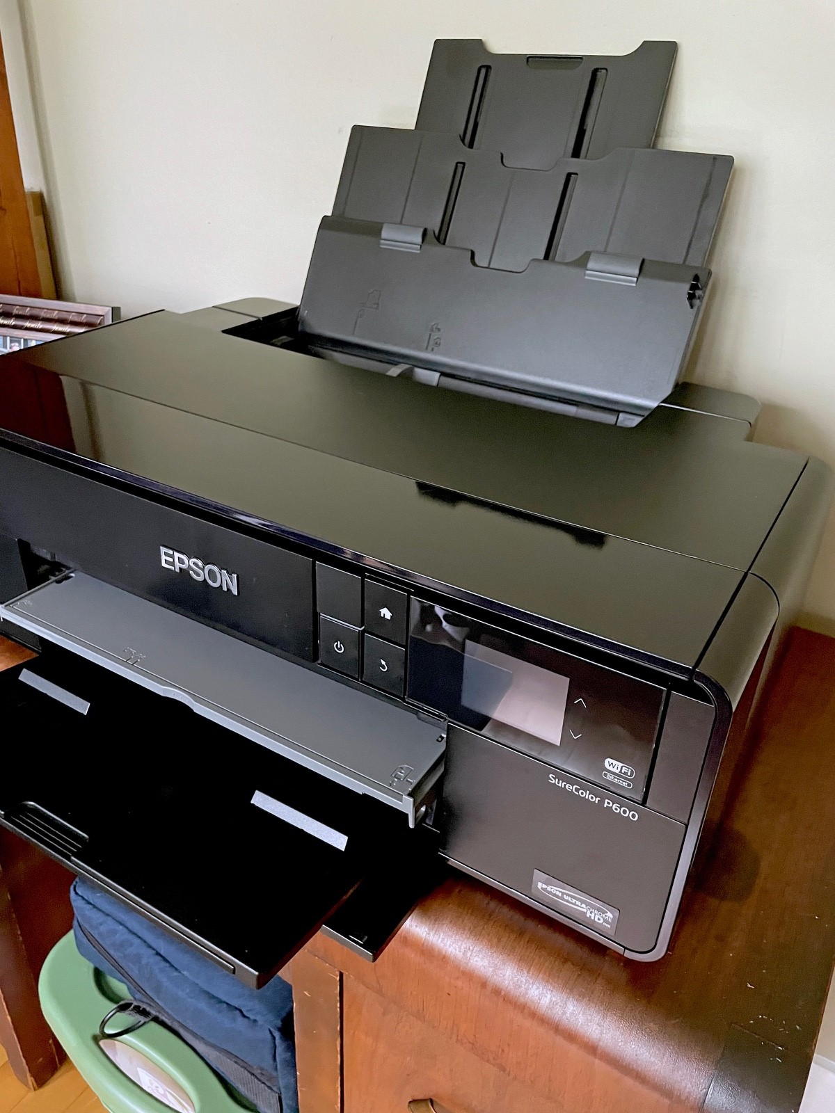 Epson SureColor P600 Printer Used, Tested, GOOD CONDITION, NEW ink installed