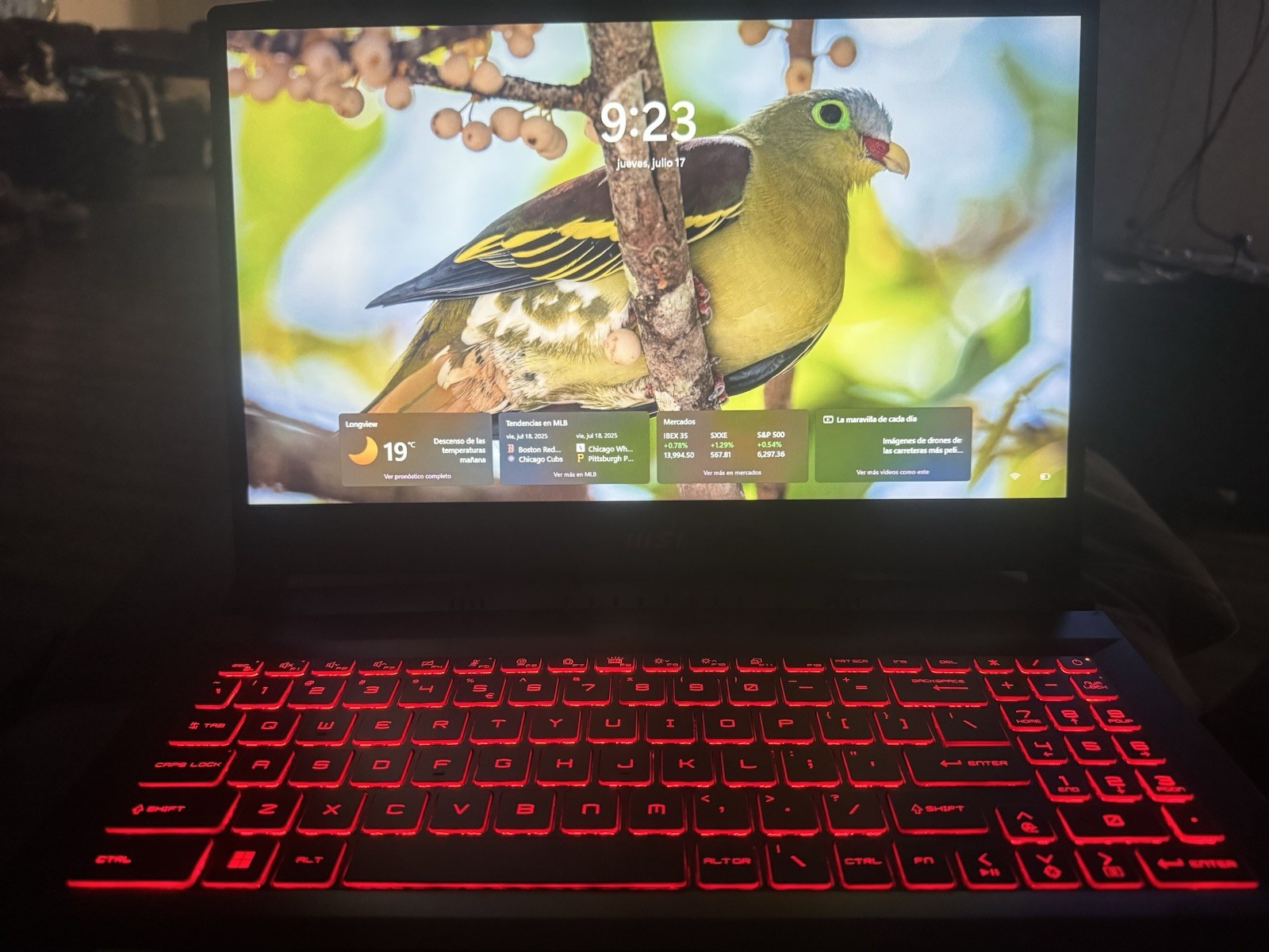 MSI Katana CF66 12 UDGaming Laptop 12th Gen Intel(R) Core(TM) i7-12650H 270GHz
