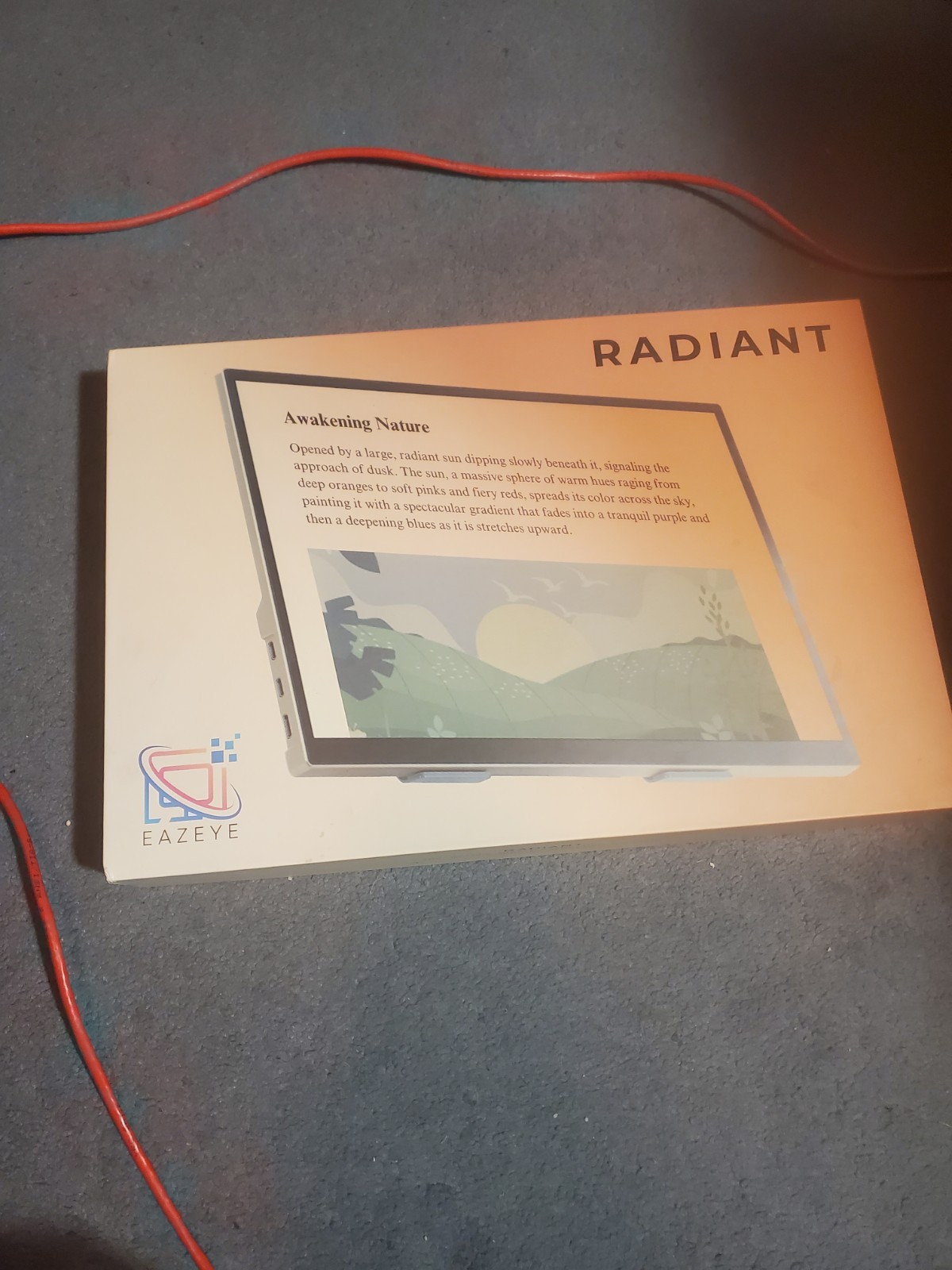 Radiant Eazeye Backlit Led Monitor Touchscreen 15:6